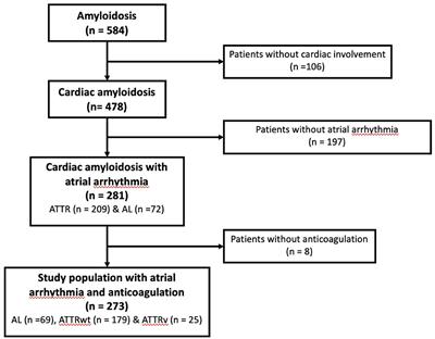 New Oral Anticoagulants vs. Vitamin K Antagonists Among Patients With Cardiac Amyloidosis: Prognostic Impact